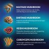 Mushroom Gummies Lion's Mane and Reishi for Cognitive Clarity 60 Capsules Rasberry Flavor