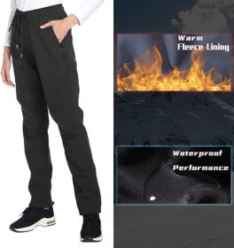 Womens Snow Ski Pants Waterproof Windproof Fleece Lined Warm Hiking Insulated Pants (size: 3XL)